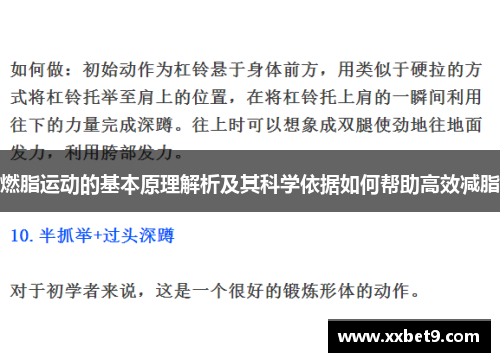 燃脂运动的基本原理解析及其科学依据如何帮助高效减脂