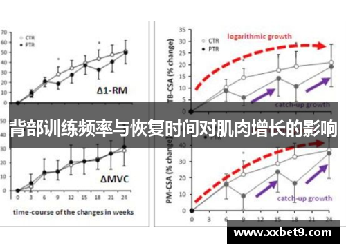 背部训练频率与恢复时间对肌肉增长的影响